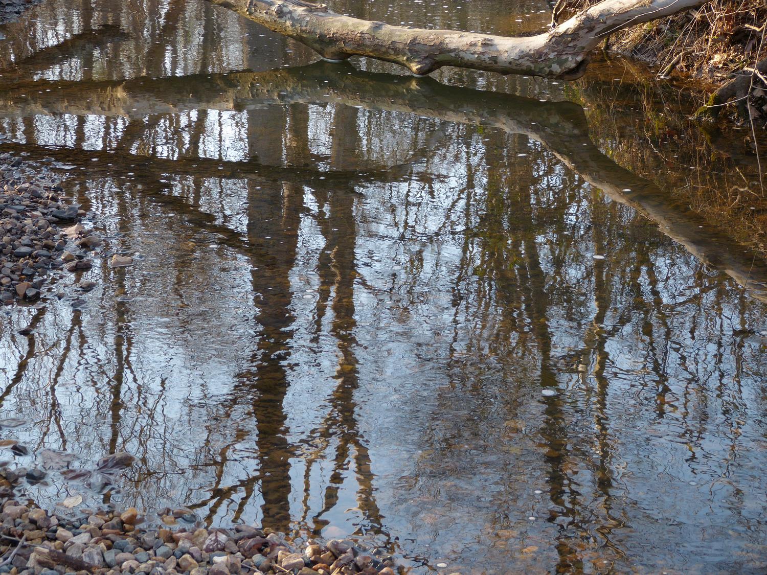  reflections - Trees in the stream --- Click to see ORIGINAL --- - -  Panasonic DMC-FZ150 - post processing - - art  - photography - by Tony Karp