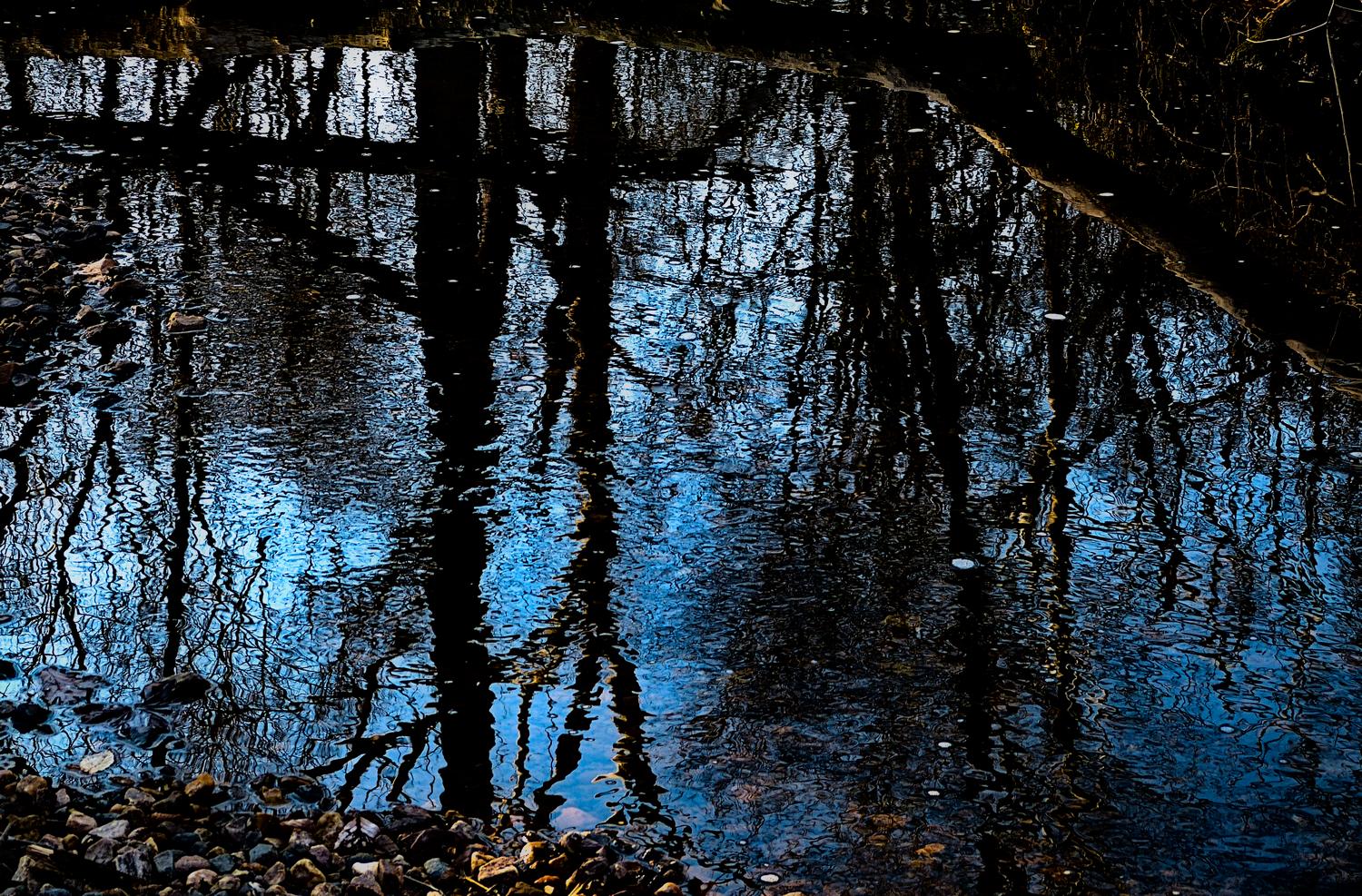  reflections - Trees in the stream --- Click to see ORIGINAL --- - -  Panasonic DMC-FZ150 - post processing - - art  - photography - by Tony Karp